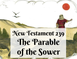 NT 239 - The Parable of the Sower